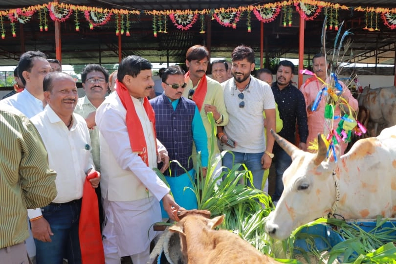 गौ संरक्षण की दिशा में मुख्यमंत्री डॉ.मोहन यादव का अभूतपूर्व निर्णय - Unprecedented decision of Chief Minister Dr. Mohan Yadav towards cow protection