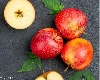रोज खाली पेट खाएं सेब, सेहत को मिलेंगे ये 10 बेहतरीन फायदे
