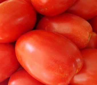 टमाटर के लाल होने से बिगड़ा रसोई का बजट - Tomatoes, tomato, expensive kitchen budget,