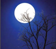 काव्य संसार : चांद फिर मुस्कुराया - Chaand Poems