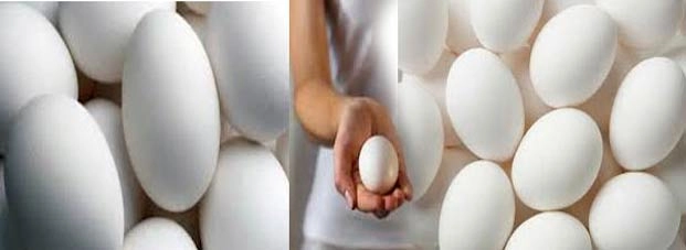 संडे हो या मंडे, जानिए क्यों खाएं अंडे, पढ़ें 10 गुण