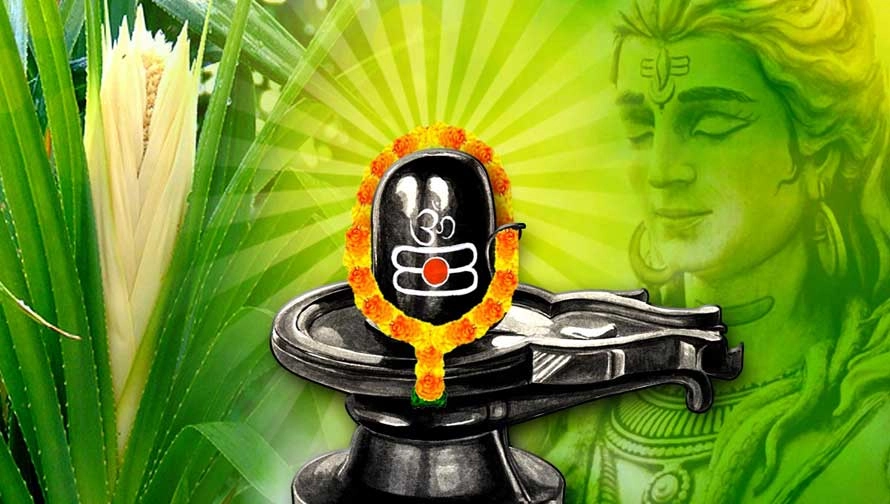 नाराज कर सकती है शिव को आपकी एक भूल, ना चढ़ाएं यह फूल - Which Flower To Avoid During Praying Lord Shiva