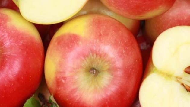 पूरे शहर पर होने लगी 'सेब' की बारिश - Apple, London, apples showers,