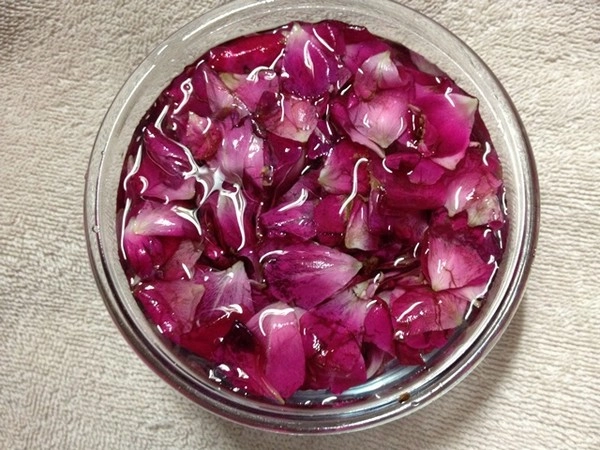 Vastu Tips For Rose Petals :उर्जेसाठी ताज्या गुलाबाच्या पाकळ्या का ठेवाव्या घरात? जाणून घ्या होणारे फायदे