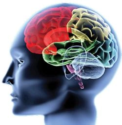 जीपीएस वापरामुळे मेंदूतील काही भाग निष्क्रिय