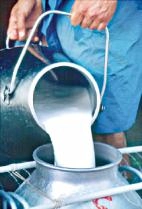 दूध महागलं, महानंद, चितळे, गोवर्धन, कात्रज दुधाचे दर 2 रुपयांनी वाढले