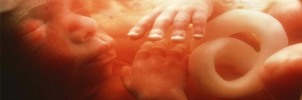 अजब-गजब: आईच्या गर्भात चेहरा ओळखण्याची कला शिकतो भ्रूण