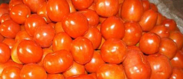 900 किलो टोमॅटो चोरी करणारा जेरबंद