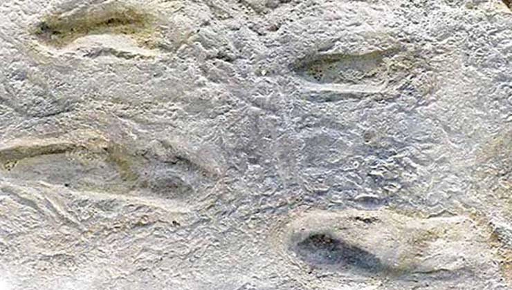 अबब 57 लाख वर्षांपूर्वीच्या माणसाच्या पावलाचे ठसे सापडले