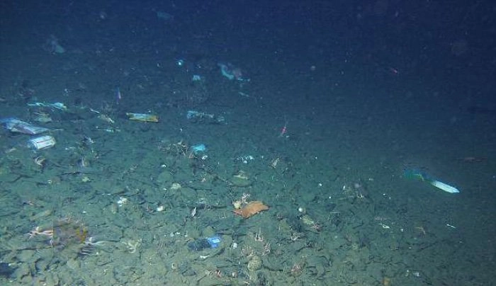 मरियाना ट्रेंच: पॅसिफिक महासागरातील सर्वांत खोल ठिकाणीही आढळलं प्लास्टिक
