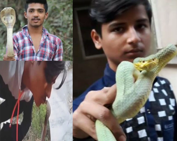 मुंबईच्या डोंबिवलीत सापांसोबत TikTok व्हिडीओ, व्हायरल झाल्यावर दोघं ताब्यात