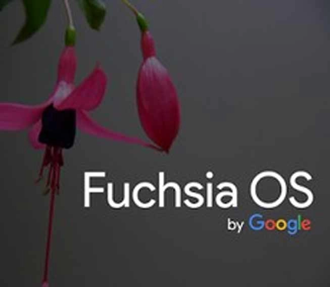 Fuchsia OS ने Andorid ची जागा घेणे सुरू केले