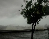 Weather Forecast:  थंडी गायब, सरासरी 6 डिग्री वरती मुंबई-ठाणे सोबत 11 जिल्ह्यांमध्ये पाऊस पडणार