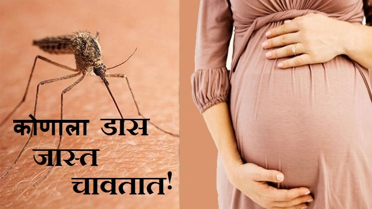सावधान / गर्भवती महिलांना डासांचा (मच्छर) त्रास जास्त होतो