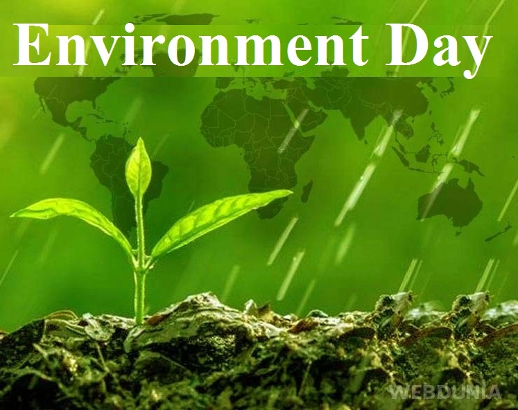 Environment Day 2020 : पर्यावरण निरोगी ठेवण्यासाठी 10 गोष्टी, निसर्ग आणि हिरवळीचे 10 लाभ