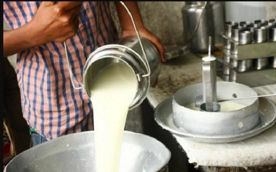 दूध उत्पादकांचे १ ऑगस्टपासून राज्यभर आंदोलन