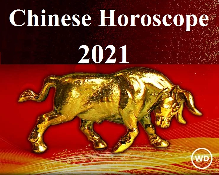 Chinese Horoscope 2021 चिनी ज्योतिष आपल्या बद्दल काय सांगत जाणून घ्या
