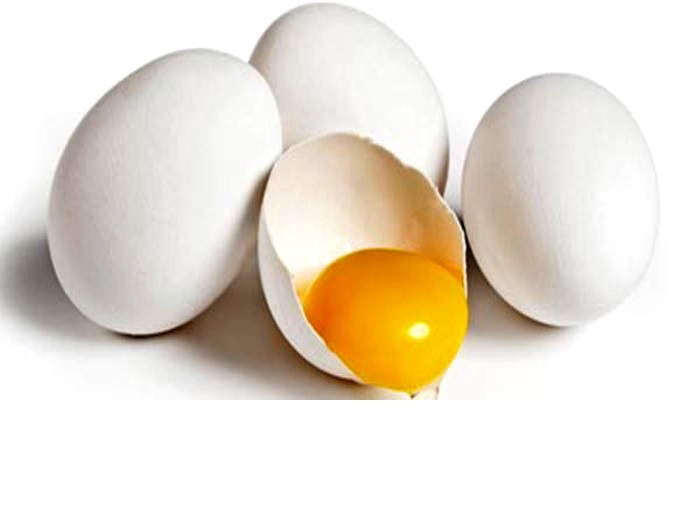 कोंबड्यांनी अंडी देणे बंद केल्यामुळे शेतकऱ्यांची पोलिसांत तक्रार