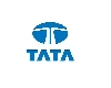 Tata Technologies IPO: तुम्ही लॉटरी जिंकली आहे का? अशा प्रकारे वाटप स्थिती तपासा