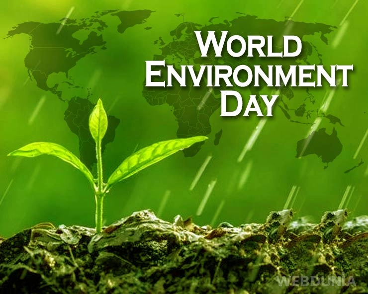 World Environment Day 2021 : यंदाची थीम आहे Ecosystem Restoration