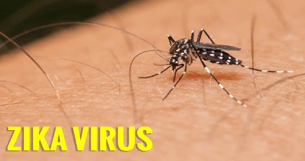 झिका व्हायरस म्हणजे काय?: केरळमध्ये 15 रुग्ण आढळल्याने खळबळ, सतर्कतेचा इशारा