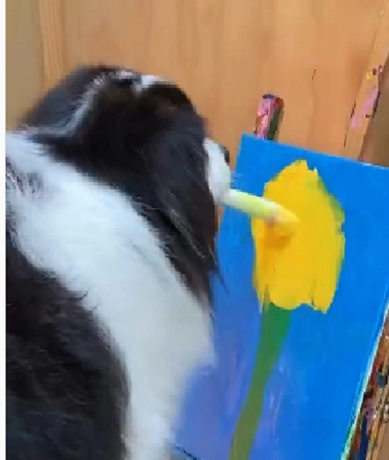 Video Viral : कुत्र्याने एक मजेदार पेंटिंग बनविली, लोक झाले त्याचे फॅन