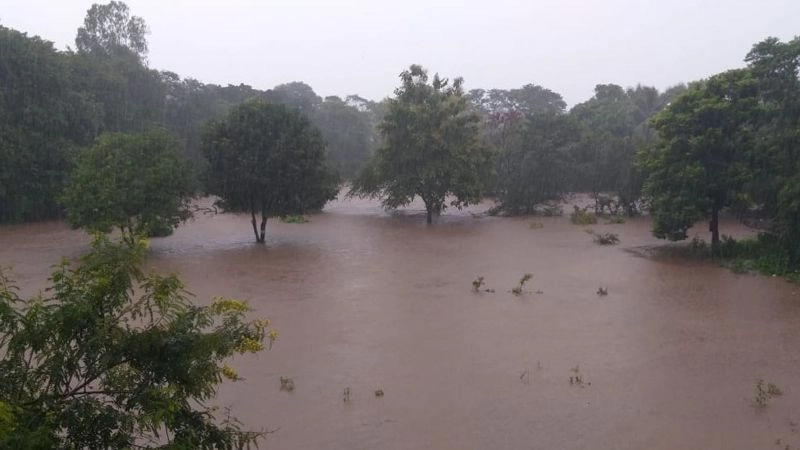 महाराष्ट्र पाऊस: कोकण, पश्चिम महाराष्ट्र, विदर्भात जोरदार पाऊस