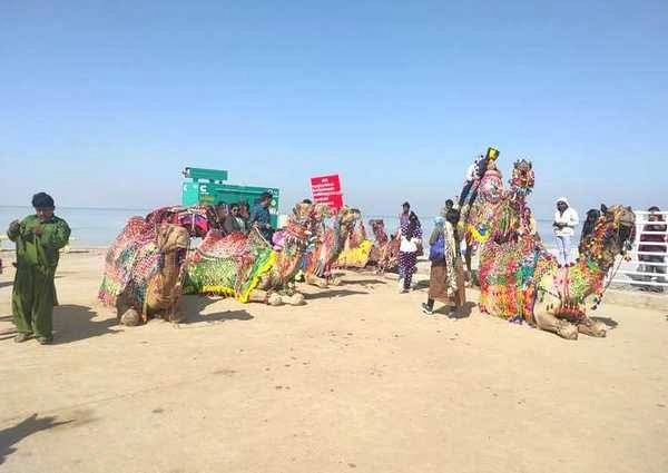 kutch tourism :गुजरात दर्शन करताना कच्छचे रण आवर्जून जावे