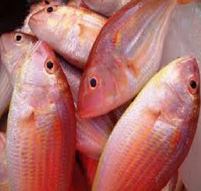 ताजे मासे कसे ओळखावे? बाजारातून मासे आणताना ही काळजी घ्या