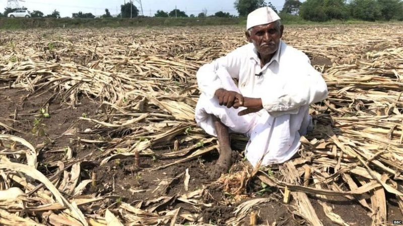 1,123 किलो कांदा विकूनही शेतकऱ्याचे हात रिकामे, फक्त 13 रुपये कमावले