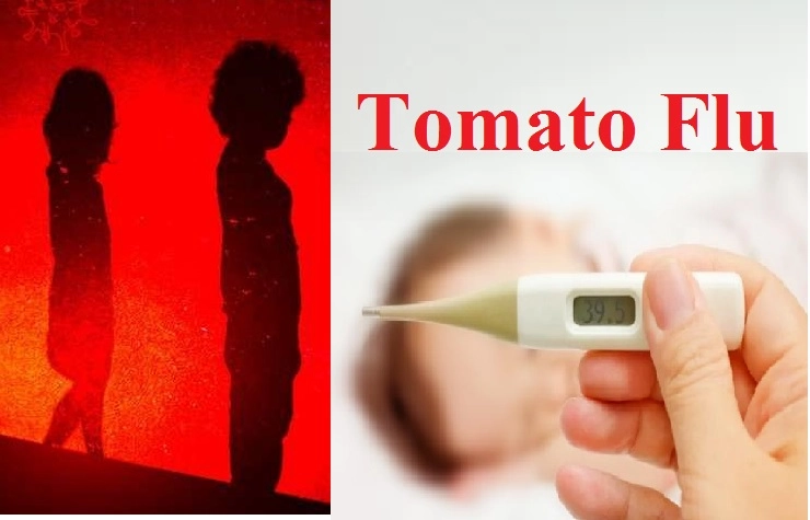 tomato flu