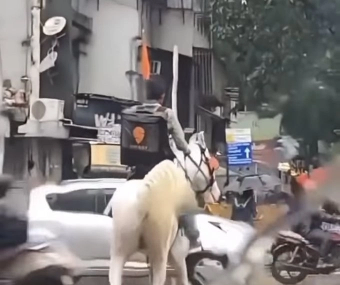 food delivery boy on horse