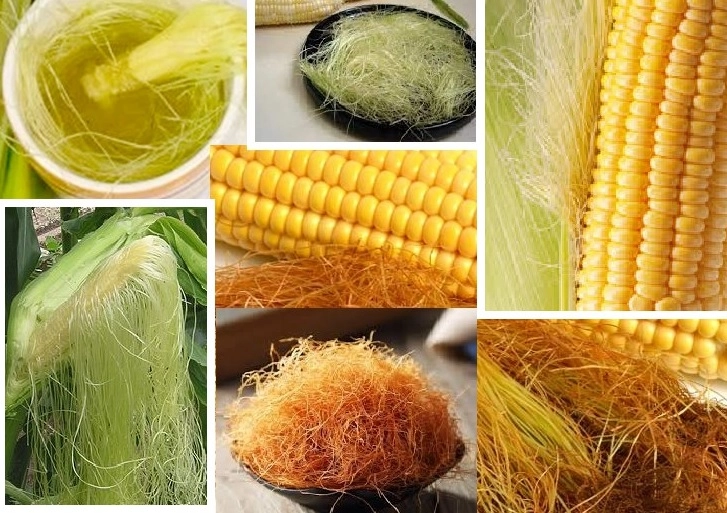 corn skin