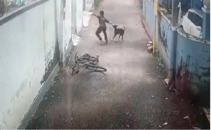dog bite in Kerala video viral