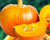 भोपळ्याच्या बिया खाल्ल्याने कोणते फायदे मिळतात?  जाणून घ्या