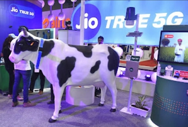 5G cow
