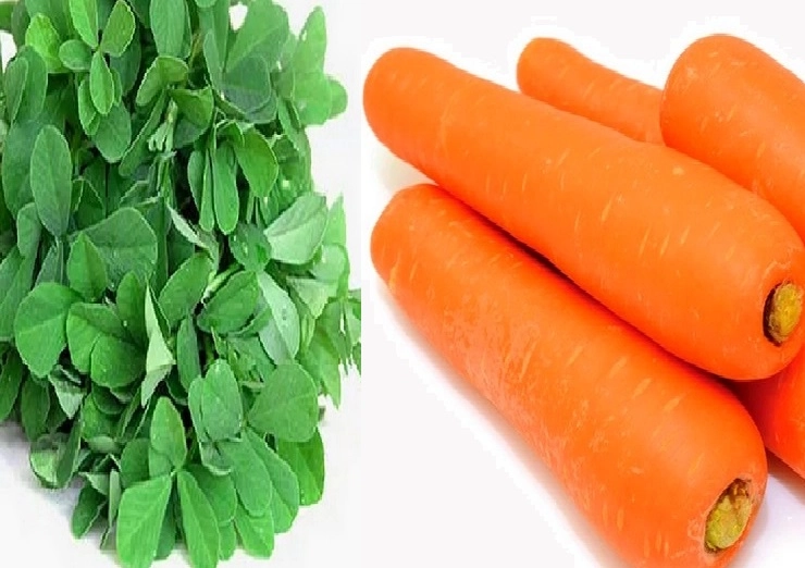 Carrot fenugreek