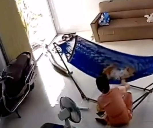 बाळाच्या पाळण्याखाली मोठा साप निघाला व्हिडीओ पाहा