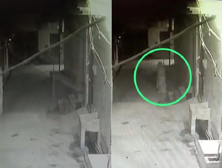 Ghost Video अलीगढमध्ये ‘भूत’चर्चेचा विषय बनला, भुताचा व्हिडिओ झाला व्हायरल