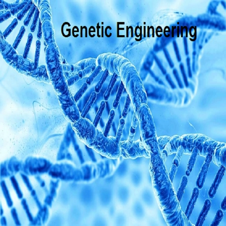 Career in BTech  Genetic Engineering after 12th: बीटेक इन  जेनिटिक इंजीनियरिंग मध्ये करिअर बनवा, पात्रता, शीर्ष महाविद्यालय, व्याप्ती ,पगार जाणून घ्या
