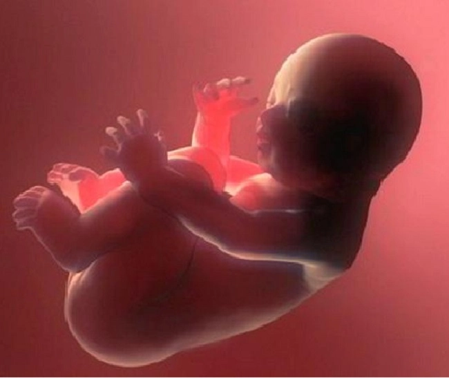 गर्भसंस्कार : गर्भावस्थेत असताना मुलं खरंच शिकतात का?