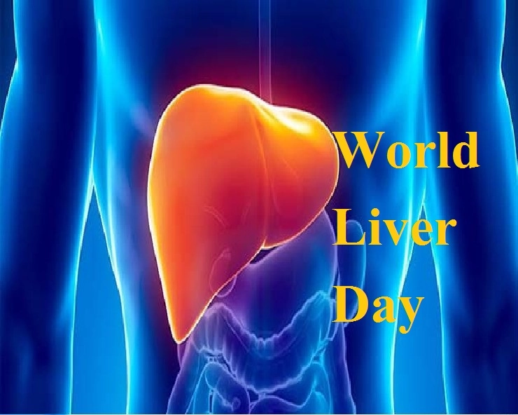 World Liver Day 2023:   यकृत दिन का साजरा केला जातो? त्याचे महत्त्व , उद्देश्य आणि थीम जाणून घ्या