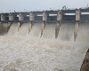 पावसामुळे गोदावरी नदीला पूरसदृश्य परिस्थिती; जिल्ह्यातील तीन धरणातून पाण्याचा विसर्ग सुरू
