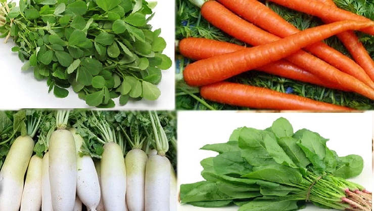 Winter Vegetables हिवाळ्यात या 4 भाज्या नक्की खाव्यात, आजारांपासून दूर राहाल