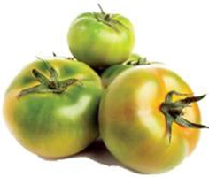 हिरव्या टोमॅटोमुळे स्नायू होतात मजबूत