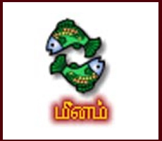 மீனம் - துர்முகி தமிழ் புத்தாண்டு ராசிபலன் 2016