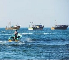 தமிழக மீனவர்கள் 66 பேர் விடுதலை: இலங்கை நீதிமன்றம் உத்தரவு