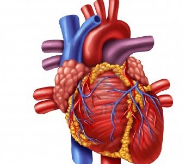 दिल के रोगी हैं तो यह घरेलू नुस्खा आपके लिए हैं - Home remedies for heart patient