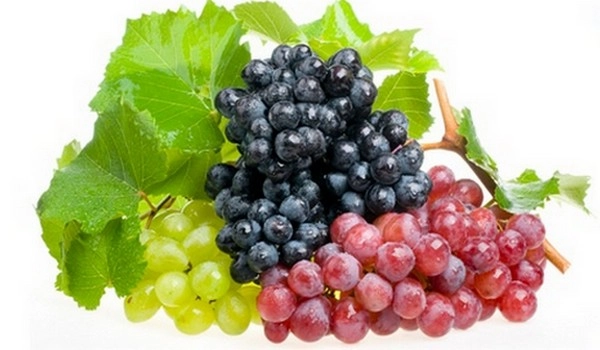 રોજ Grapes ખાશો તો આંખો રહેશે સ્વસ્થ...જાણો બીજા ફાયદા