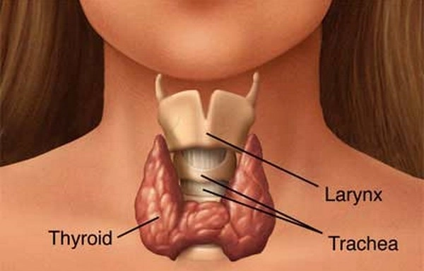बचा जा सकता है थायराइड से, यहां जानिए कैसे - thyroid